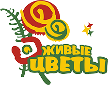 Доработка интернет-магазина и настройка контекста для мастерской «Живые цветы»