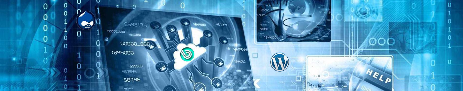 Сравнение SEO-возможностей популярных CMS