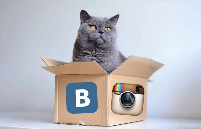 Как провести конкурс в Instagram и ВКонтакте? 15 проверенных механик