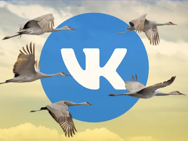 Как мы перевели наших клиентов во ВКонтакте