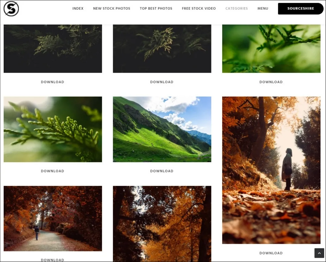 Splitshire — бесплатный фотосток без регистрации